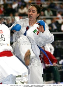 Campeonato Mundial de Karate (Monterrey) 2004. 