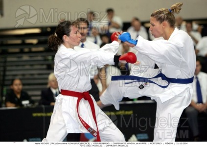 Campeonato Mundial de Karate (Monterrey) 2004. 