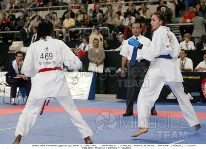 Campeonato Mundial de Karate (Monterrey) 2004. 