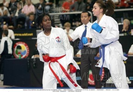 Campeonato Mundial de Karate (Monterrey) 2004. 