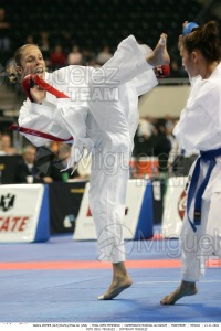 Campeonato Mundial de Karate (Monterrey) 2004. 