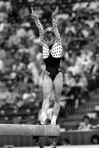Campeonato del Mundo de Gimnasia Artística de Hombres y Mujeres en INDIANAPOLIS (USA) 1991