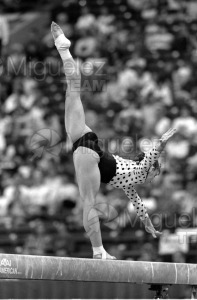 Campeonato del Mundo de Gimnasia Artística de Hombres y Mujeres en INDIANAPOLIS (USA) 1991