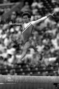 Campeonato del Mundo de Gimnasia Artística de Hombres y Mujeres en INDIANAPOLIS (USA) 1991