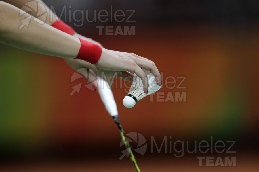 Juegos Olimpicos Rio 2016. Rio de Janeiro (Brasil). 