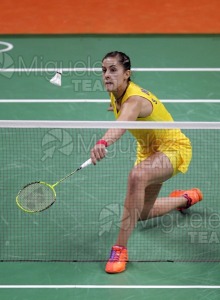 Juegos Olimpicos Rio 2016. Rio de Janeiro (Brasil). 