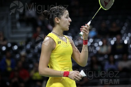 Juegos Olimpicos Rio 2016. Rio de Janeiro (Brasil). 