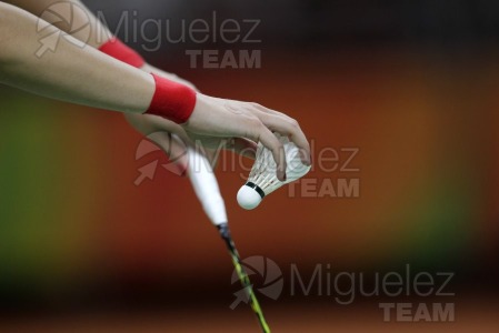 Juegos Olimpicos Rio 2016. Rio de Janeiro (Brasil). 