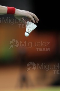 Juegos Olimpicos Rio 2016. Rio de Janeiro (Brasil). 