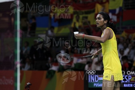 Juegos Olimpicos Rio 2016. Rio de Janeiro (Brasil). 