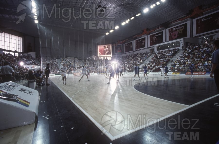 Partido de Liga ASOBAL entre CIUDAD REAL y otro en su pabellón de CIUDAD REAL. 2003