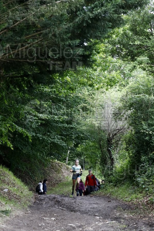 Atletismo Trail. Maratón de montaña Zegama-Aizcorri (Zegama) 2026.