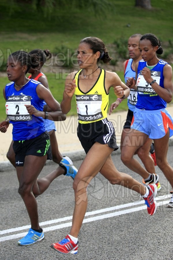 ATLETISMO: 10km y Rock 'n' Roll Madrid (MAPOMA) 2012