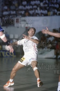 Partido de Liga ASOBAL entre CIUDAD REAL y otro en su pabellón de CIUDAD REAL. 2003