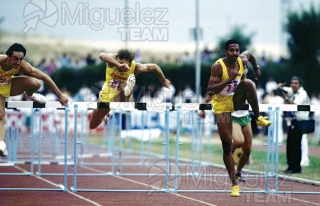 Meeting Internacional de Salamanca 1988.