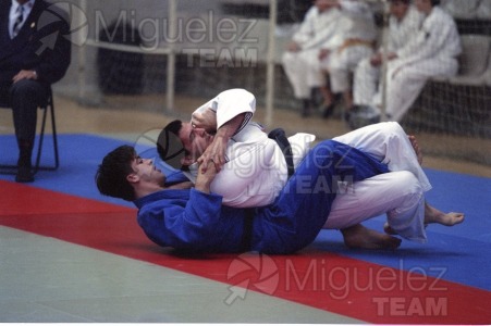 Campeonato de España Absoluto celebrado en el pabellón de LEGANÉS (Madrid). 2002