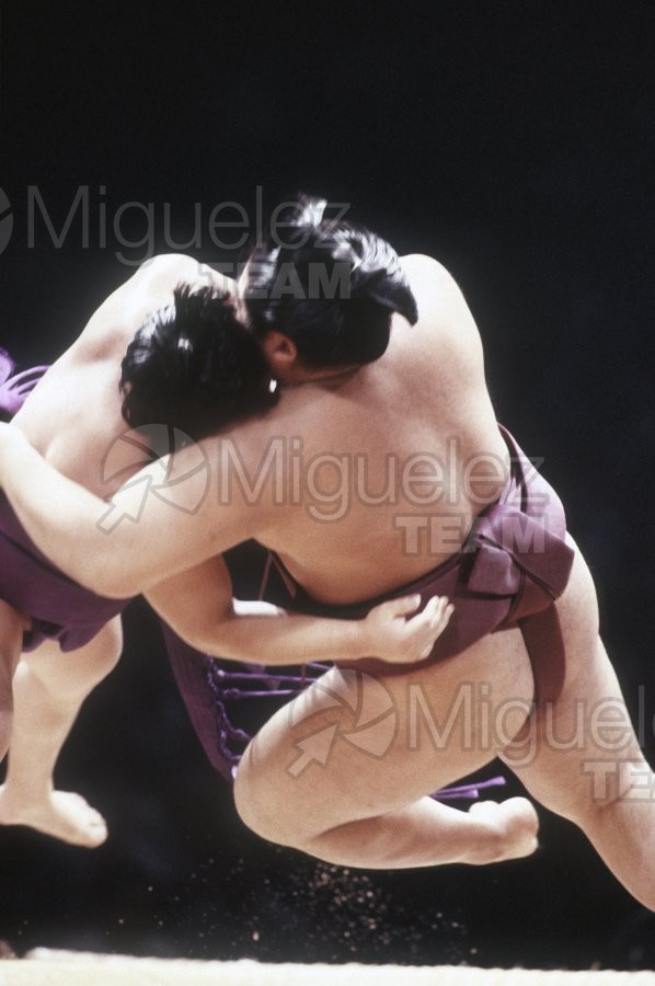 Gira Europea de Gran Sumo. Torneo de Madrid 1992.