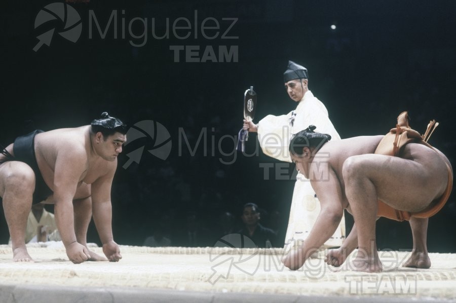 Gira Europea de Gran Sumo. Torneo de Madrid 1992.