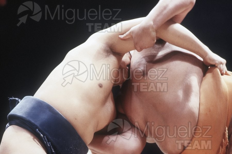 Gira Europea de Gran Sumo. Torneo de Madrid 1992.