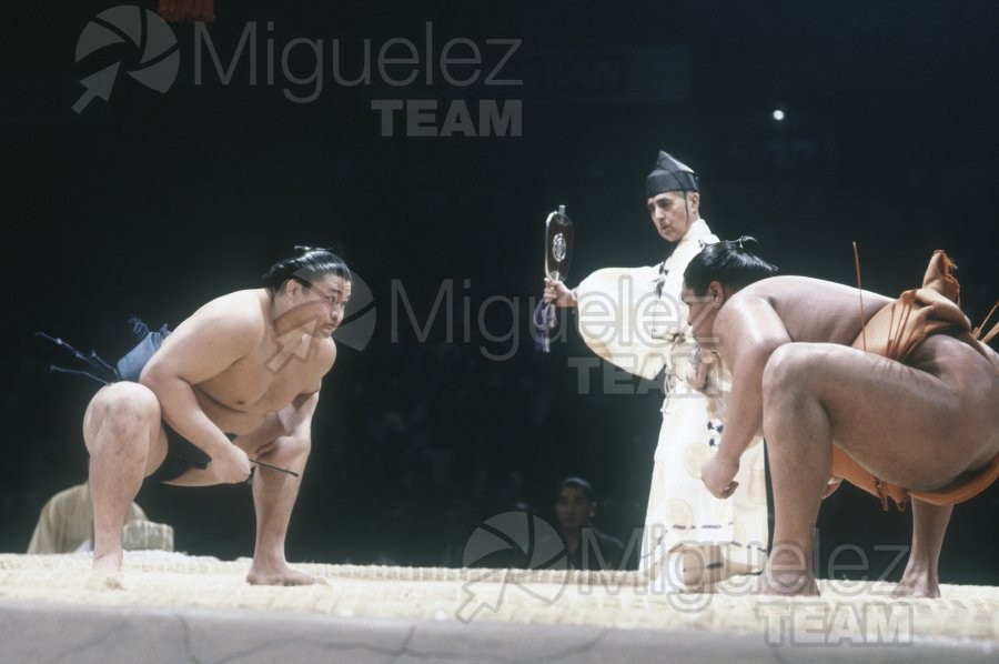 Gira Europea de Gran Sumo. Torneo de Madrid 1992.