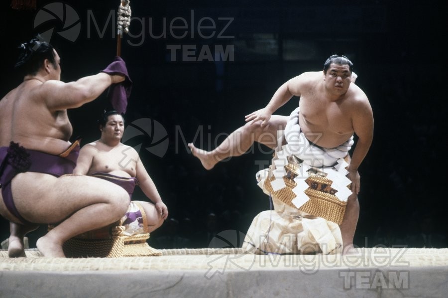 Gira Europea de Gran Sumo. Torneo de Madrid 1992.