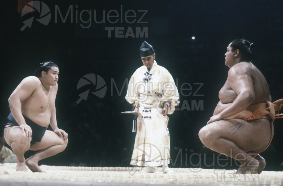 Gira Europea de Gran Sumo. Torneo de Madrid 1992.