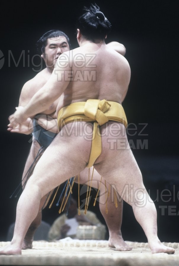 Gira Europea de Gran Sumo. Torneo de Madrid 1992.