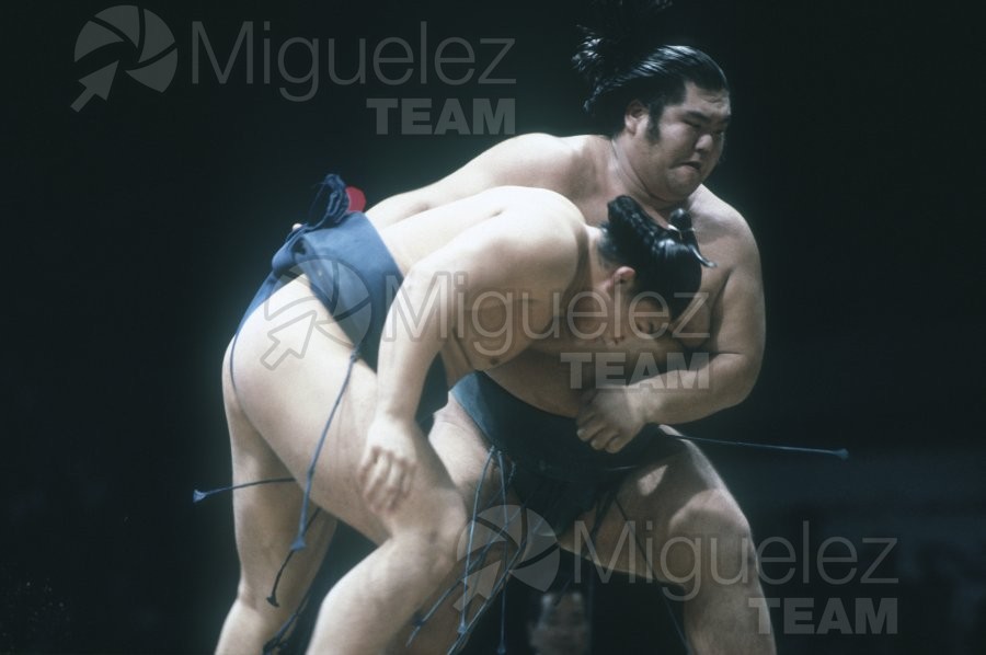 Gira Europea de Gran Sumo. Torneo de Madrid 1992.