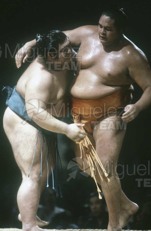 Gira Europea de Gran Sumo. Torneo de Madrid 1992.