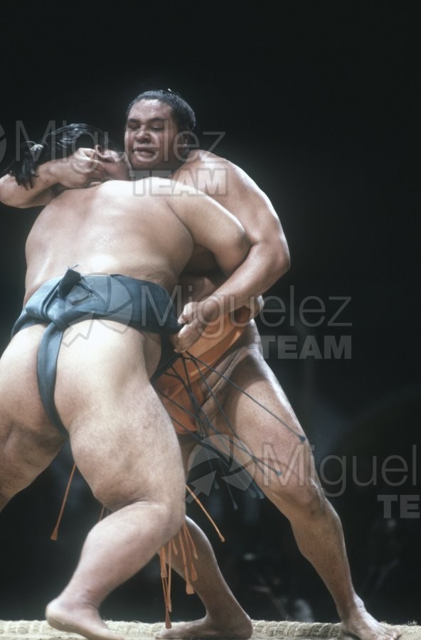 Gira Europea de Gran Sumo. Torneo de Madrid 1992.