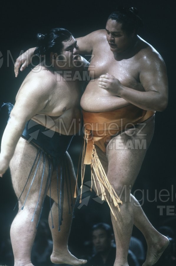 Gira Europea de Gran Sumo. Torneo de Madrid 1992.
