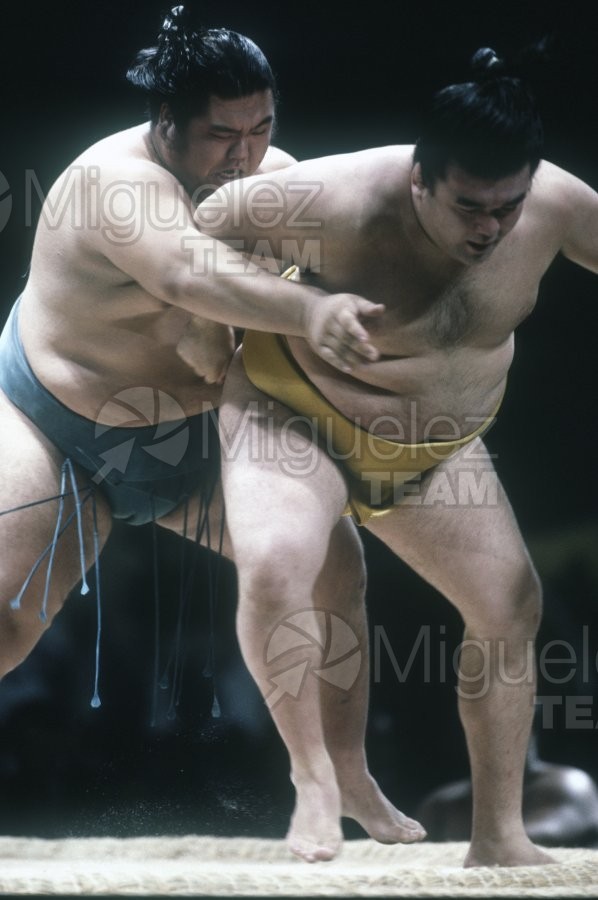 Gira Europea de Gran Sumo. Torneo de Madrid 1992.