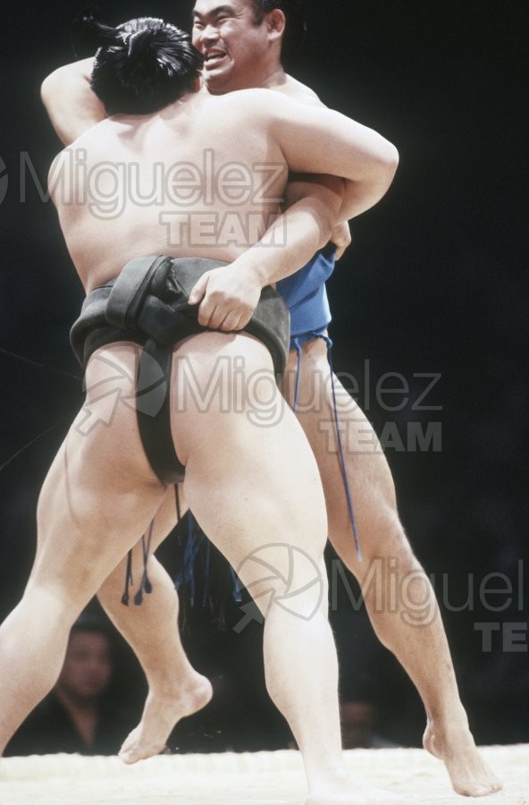 Gira Europea de Gran Sumo. Torneo de Madrid 1992.