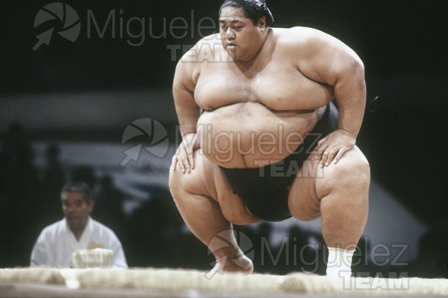 Gira Europea de Gran Sumo. Torneo de Madrid 1992.