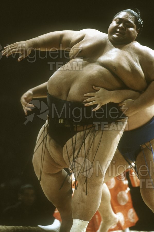 Gira Europea de Gran Sumo. Torneo de Madrid 1992.