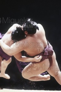 Gira Europea de Gran Sumo. Torneo de Madrid 1992.