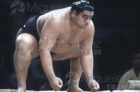 Gira Europea de Gran Sumo. Torneo de Madrid 1992.