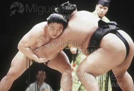Gira Europea de Gran Sumo. Torneo de Madrid 1992.
