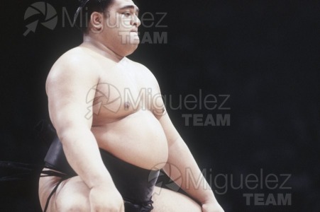 Gira Europea de Gran Sumo. Torneo de Madrid 1992.