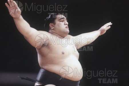 Gira Europea de Gran Sumo. Torneo de Madrid 1992.