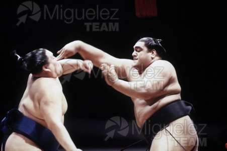 Gira Europea de Gran Sumo. Torneo de Madrid 1992.