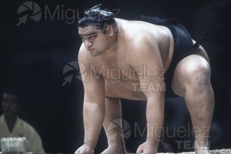 Gira Europea de Gran Sumo. Torneo de Madrid 1992.