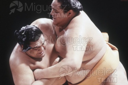 Gira Europea de Gran Sumo. Torneo de Madrid 1992.