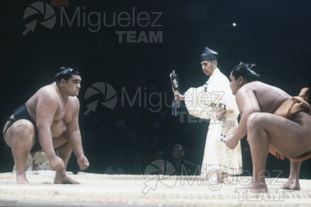 Gira Europea de Gran Sumo. Torneo de Madrid 1992.