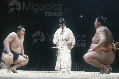 Gira Europea de Gran Sumo. Torneo de Madrid 1992.
