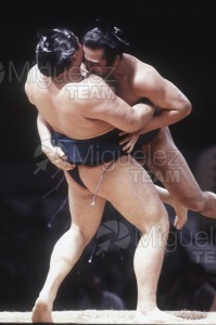 Gira Europea de Gran Sumo. Torneo de Madrid 1992.