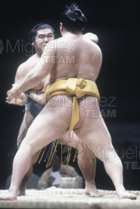 Gira Europea de Gran Sumo. Torneo de Madrid 1992.