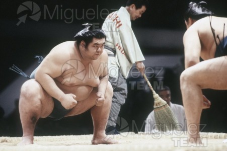 Gira Europea de Gran Sumo. Torneo de Madrid 1992.