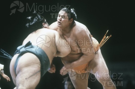 Gira Europea de Gran Sumo. Torneo de Madrid 1992.