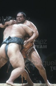 Gira Europea de Gran Sumo. Torneo de Madrid 1992.